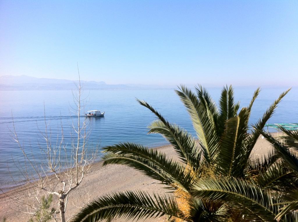 Posidonia Pension Amarynthos Exterior foto